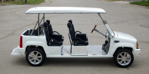 affordable golf cart rental, golf cart rent deerfield beach, cart rental deerfield beach